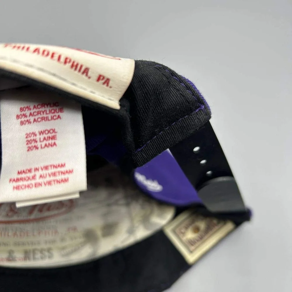 Toronto Raptors Hat Men Big Logo Embroidered Mitchell & Ness Snap‎ Back Cap